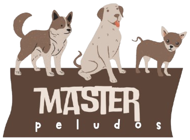 Master Peludos